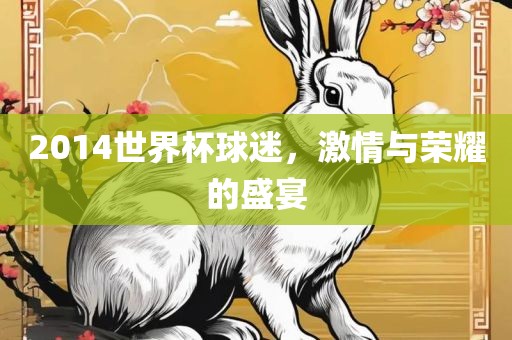2014世界杯球迷，激情与荣耀的盛宴