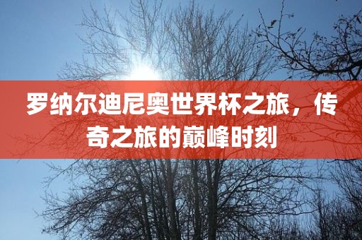 罗纳尔迪尼奥世界杯之旅，传奇之旅的巅峰时刻