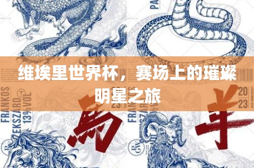 维埃里世界杯，赛场上的璀璨明星之旅
