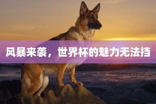 风暴来袭，世界杯的魅力无法挡