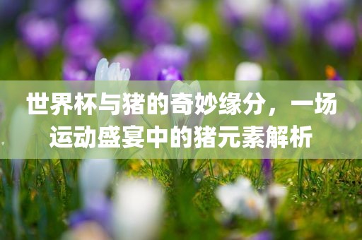 世界杯与猪的奇妙缘分，一场运动盛宴中的猪元素解析