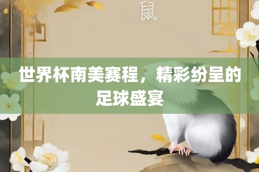 世界杯南美赛程，精彩纷呈的足球盛宴