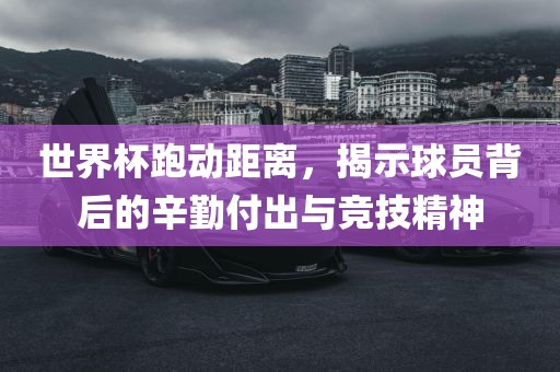 世界杯跑动距离，揭示球员背后的辛勤付出与竞技精神