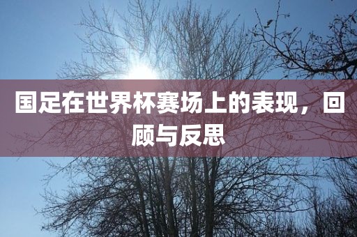 国足在世界杯赛场上的表现，回顾与反思