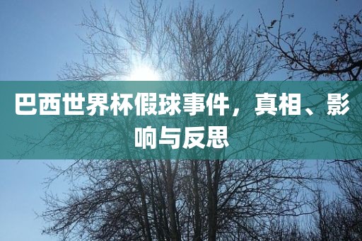 巴西世界杯假球事件，真相、影响与反思