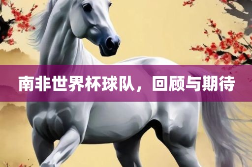 南非世界杯球队，回顾与期待