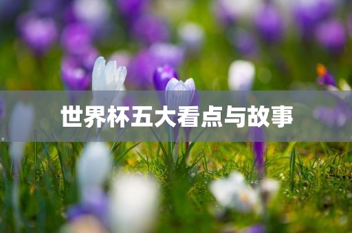 世界杯五大看点与故事