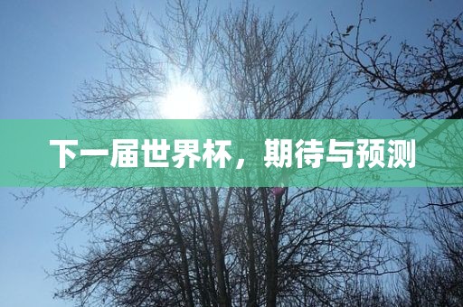 下一届世界杯，期待与预测