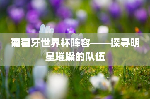 葡萄牙世界杯阵容——探寻明星璀璨的队伍