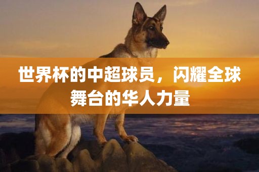 世界杯的中超球员，闪耀全球舞台的华人力量