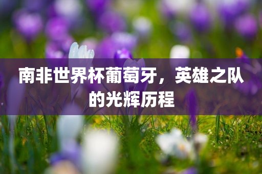 南非世界杯葡萄牙，英雄之队的光辉历程