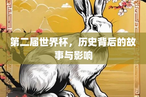 第二届世界杯，历史背后的故事与影响