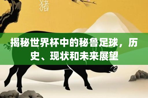 揭秘世界杯中的秘鲁足球，历史、现状和未来展望
