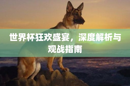 世界杯狂欢盛宴，深度解析与观战指南