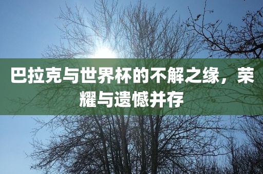 巴拉克与世界杯的不解之缘，荣耀与遗憾并存