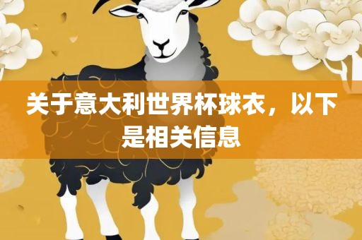 关于意大利世界杯球衣，以下是相关信息