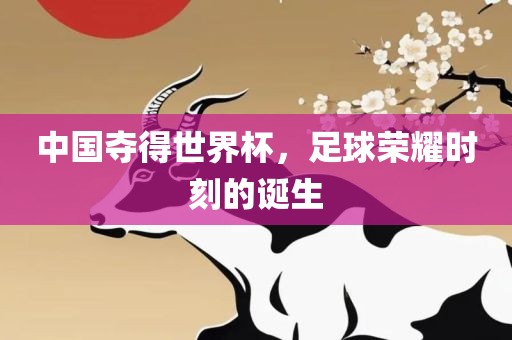 中国夺得世界杯，足球荣耀时刻的诞生