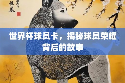 世界杯球员卡，揭秘球员荣耀背后的故事