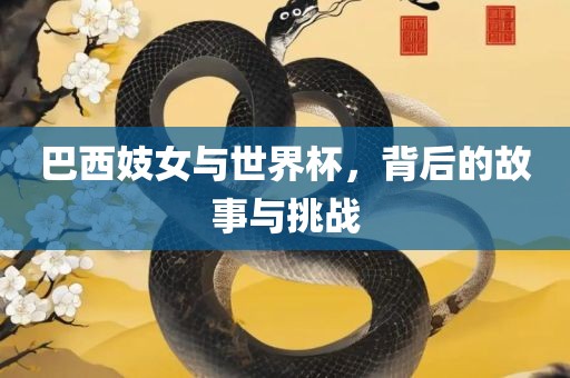 巴西妓女与世界杯，背后的故事与挑战