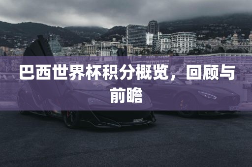 巴西世界杯积分概览，回顾与前瞻