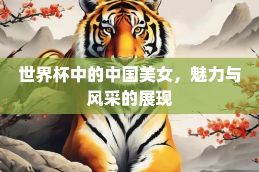 世界杯中的中国美女，魅力与风采的展现
