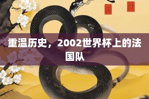 重温历史，2002世界杯上的法国队