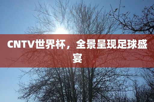 CNTV世界杯，全景呈现足球盛宴