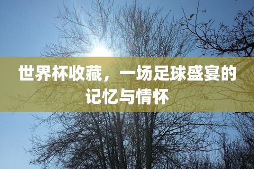 世界杯收藏，一场足球盛宴的记忆与情怀
