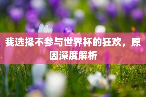 我选择不参与世界杯的狂欢，原因深度解析