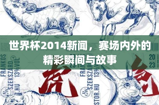 世界杯2014新闻，赛场内外的精彩瞬间与故事