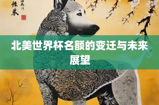 北美世界杯名额的变迁与未来展望