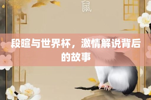 段暄与世界杯，激情解说背后的故事