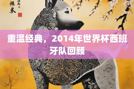 重温经典，2014年世界杯西班牙队回顾