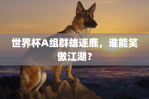 世界杯A组群雄逐鹿，谁能笑傲江湖？