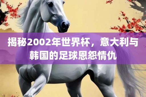 揭秘2002年世界杯，意大利与韩国的足球恩怨情仇