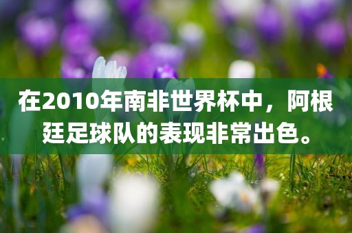 在2010年南非世界杯中，阿根廷足球队的表现非常出色。