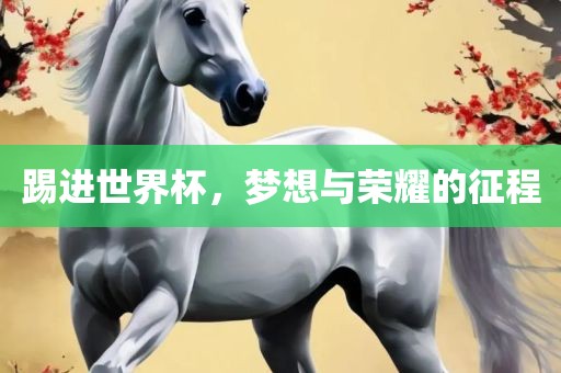 踢进世界杯，梦想与荣耀的征程