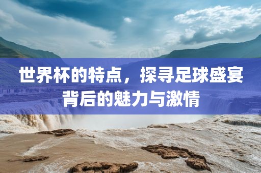 世界杯的特点，探寻足球盛宴背后的魅力与激情