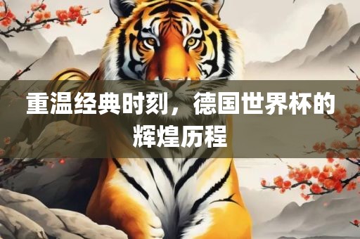 重温经典时刻，德国世界杯的辉煌历程