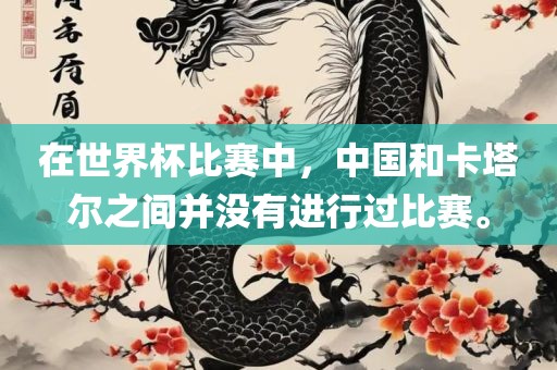在世界杯比赛中，中国和卡塔尔之间并没有进行过比赛。