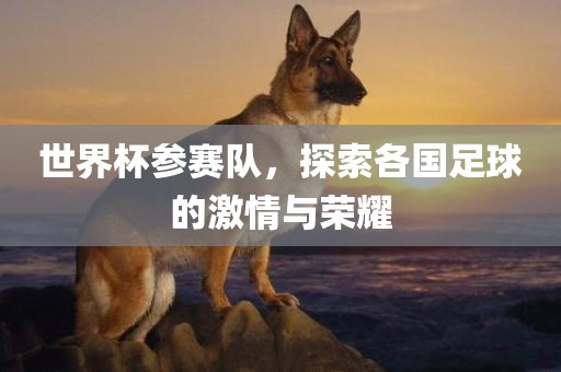 世界杯参赛队，探索各国足球的激情与荣耀