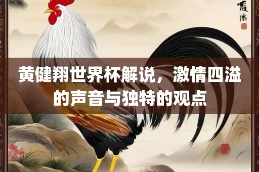 黄健翔世界杯解说，激情四溢的声音与独特的观点