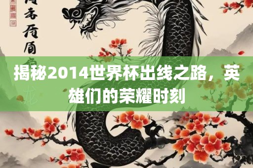 揭秘2014世界杯出线之路，英雄们的荣耀时刻