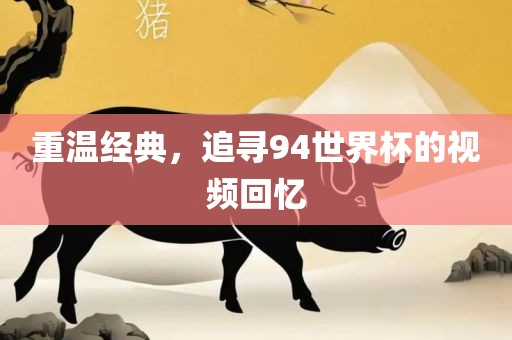 重温经典，追寻94世界杯的视频回忆