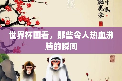 世界杯回看，那些令人热血沸腾的瞬间金炬实业股份有限公司