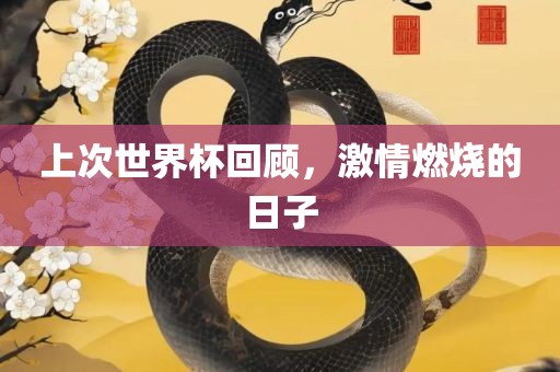 上次世界杯回顾，激情燃烧的日子
