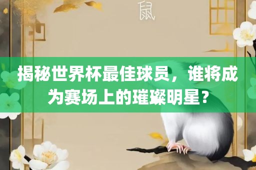 揭秘世界杯最佳球员，谁将成为赛场上的璀璨明星？