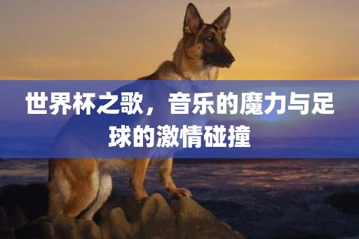 世界杯之歌，音乐的魔力与足球的激情碰撞