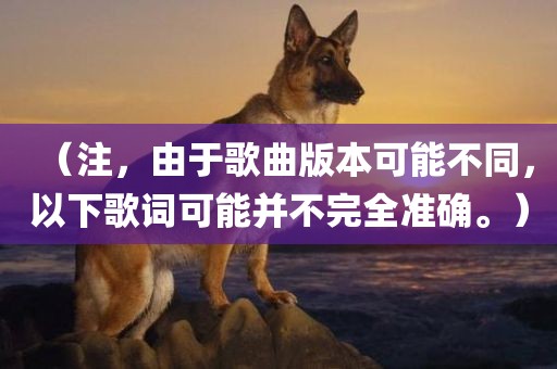 （注，由于歌曲版本可能不同，以下歌词可能并不完全准确。）金炬实业股份有限公司