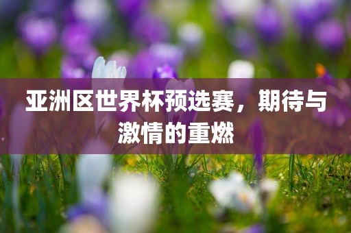 亚洲区世界杯预选赛，期待与激情的重燃